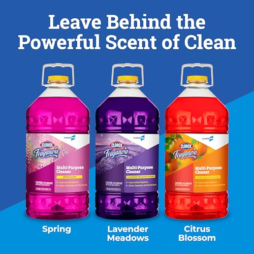 Fraganzia Multi-Purpose Cleaner, CloroxPro, Spring Scent, 175 Fluid Ounces (Package May Vary)