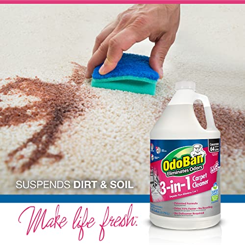 OdoBan 3-n-1 Carpet Cleaner, 128 Fl Oz