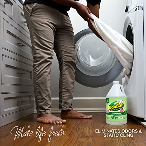 OdoBan Disinfectant Concentrate and Odor Eliminator, Made in the USA, Original Eucalyptus Scent, 1 Gallon