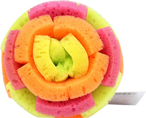 Casabella, Plum/Lime/Orange Multicolor Clear Sponge Brush, 1 EA