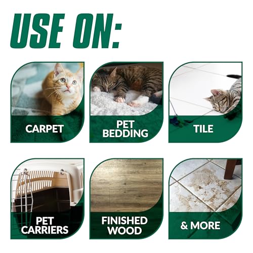 Simple Green Cat Stain & Odor Remover - Enzyme Cleaner for Cat Urine, Feces, Blood, Vomit (32 oz Sprayer & 1 gallon Refill)