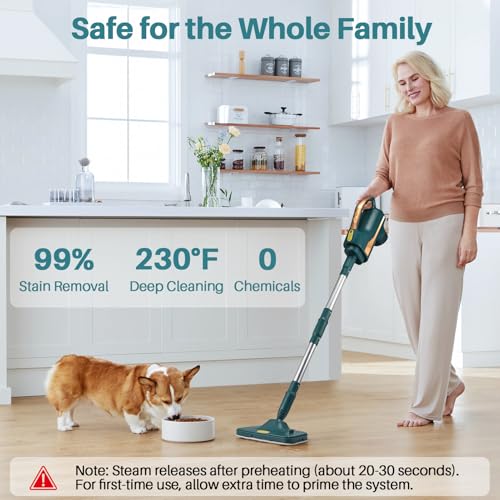 6 in1 Steam Mop Dual-Rod Design with Detachable Handheld Steamer, 300ML Removable Tank,23 FT Power Cable,includes Multi-purpose Accessories,Steam Mops for Floor Cleaning,Windows,Tile Grout.
