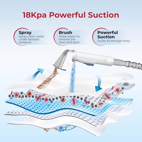 Rosewill Multi-Purpose Portable Carpet and Upholstery Cleaner, Powerful Suction 18 KPa Spot Cleaner, 600W Motor, Car and Auto Detailer, Stain/Spot Remover; Versatile Use: Carpet, Sofa, Pet Hair