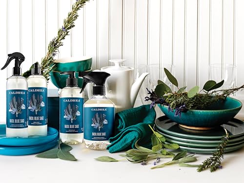 Caldrea Multi-surface CounterTop Spray Cleaner, Made With Vegetable Protein Extract, Basil Blue Sage, 16 Fl Oz