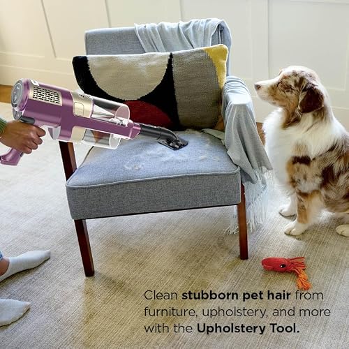 Shark PowerDetect | Corded Stick Vacuum Cleaner for Carpet & Hard Floors | Lightweight Hand Vacuum for Pet Hair with DuoClean | Self-Cleaning Brushroll | HEPA | 3 Attachments | Purple | HZ4001AMZ